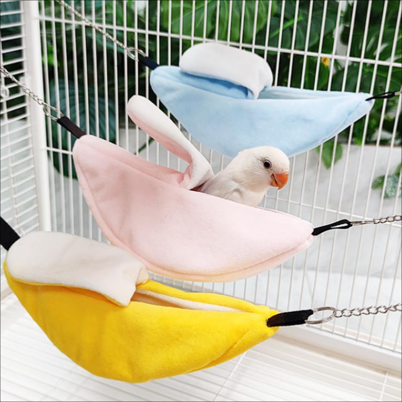 /KQM/Banana Hamster Bird Rat S - đánh giá và giá Fishing Kayak Sit On Top