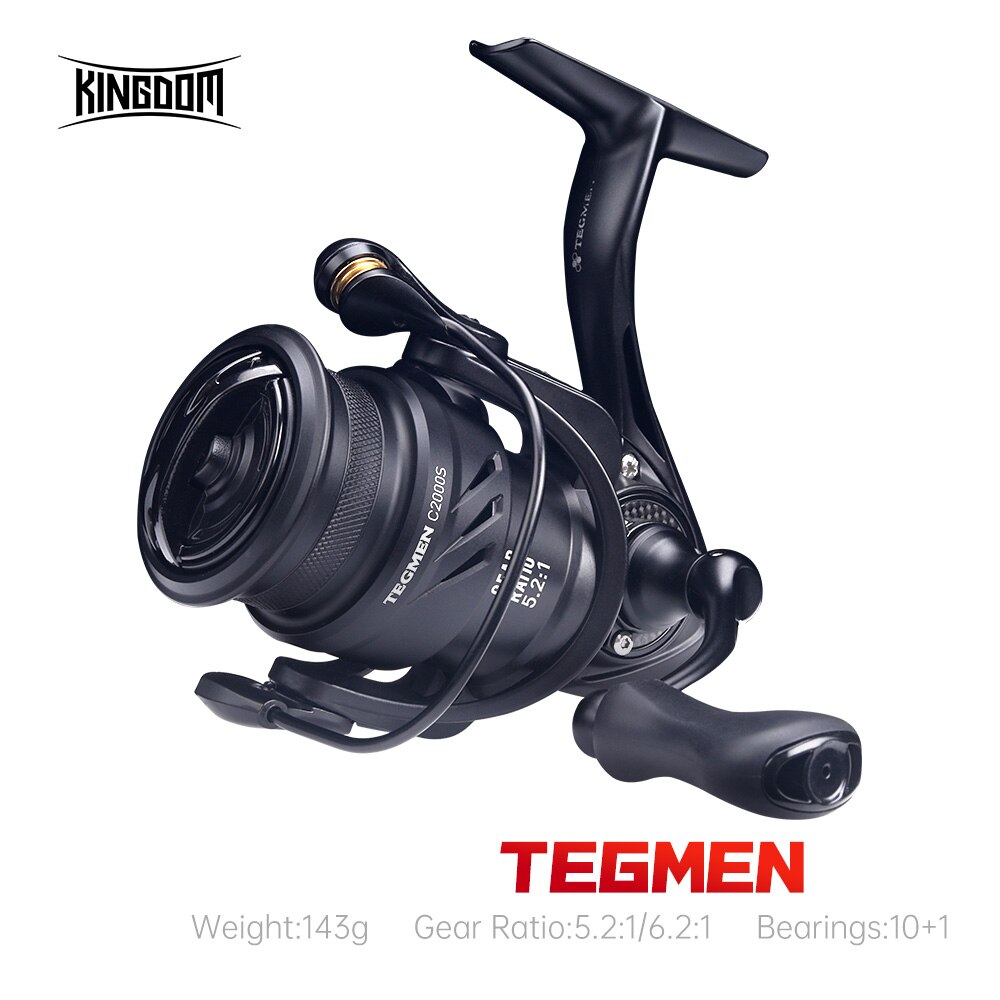 Kingdom Tegmen 5.2:1 6.2:1 143 - đánh giá và giá Abu Garcia Reel Revo